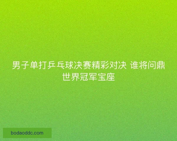 男子单打乒乓球决赛精彩对决 谁将问鼎世界冠军宝座