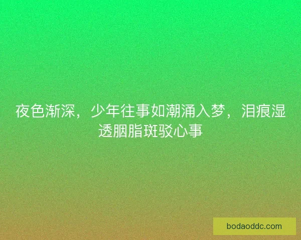 夜色渐深，少年往事如潮涌入梦，泪痕湿透胭脂斑驳心事